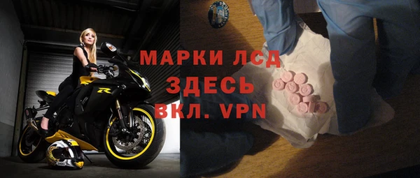 индика Алексин