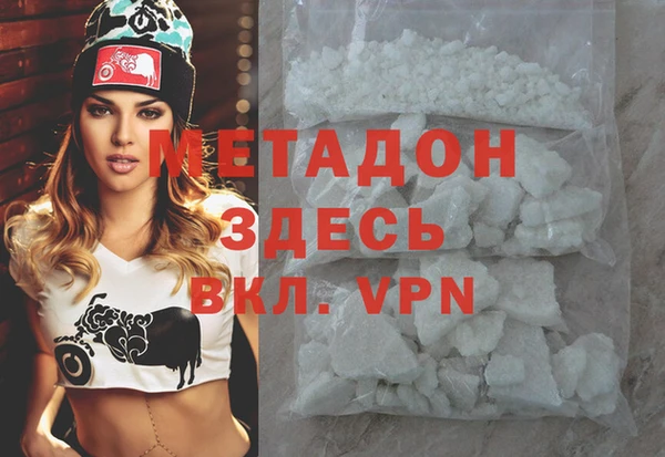 индика Алексин