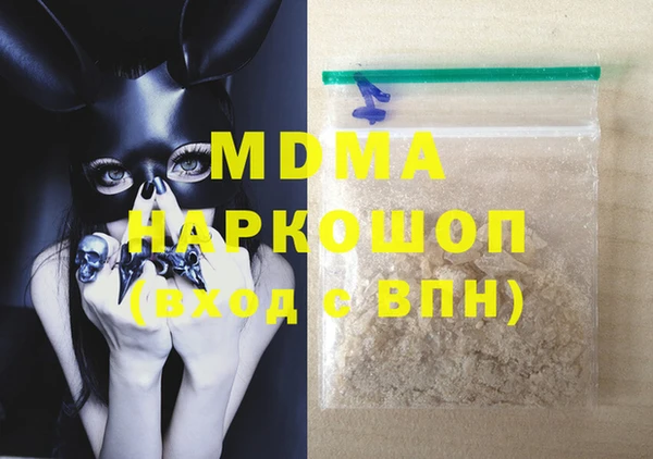 индика Алексин