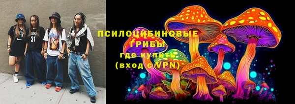 твердый Алзамай