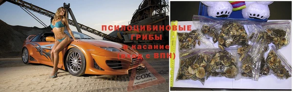 прущая мука Саяногорск