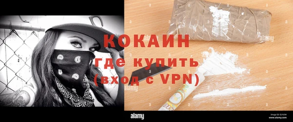 индика Алексин