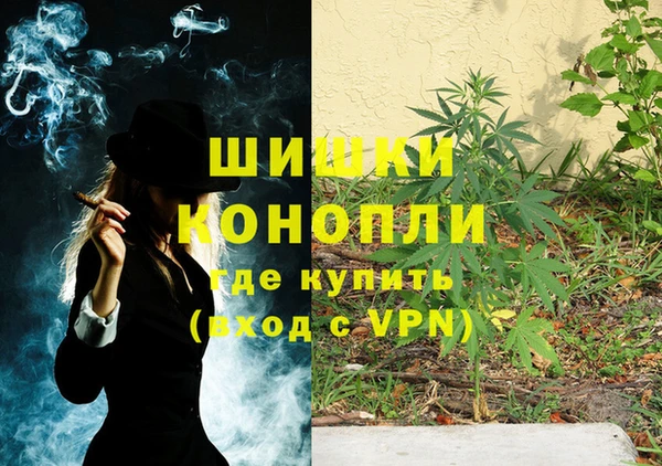 тгк Абаза