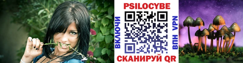 продажа наркотиков  Нестеров  Псилоцибиновые грибы прущие грибы 
